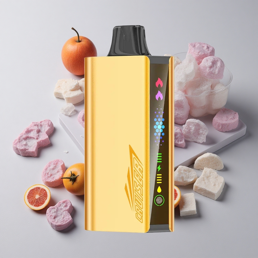 Čučoriedkový ľad JNR Cruiser 12000 Puffs Bez-nabíjania Jednorazové Vape veľkoobchod Slovensko