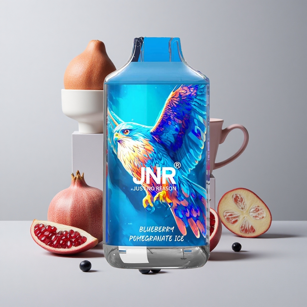 Boruvka Granátový ľad JNR Falcon 16000 Puffs 22ml Kapacita Tekutiny Dual Mesh Cievka veľkoobchod Slovensko