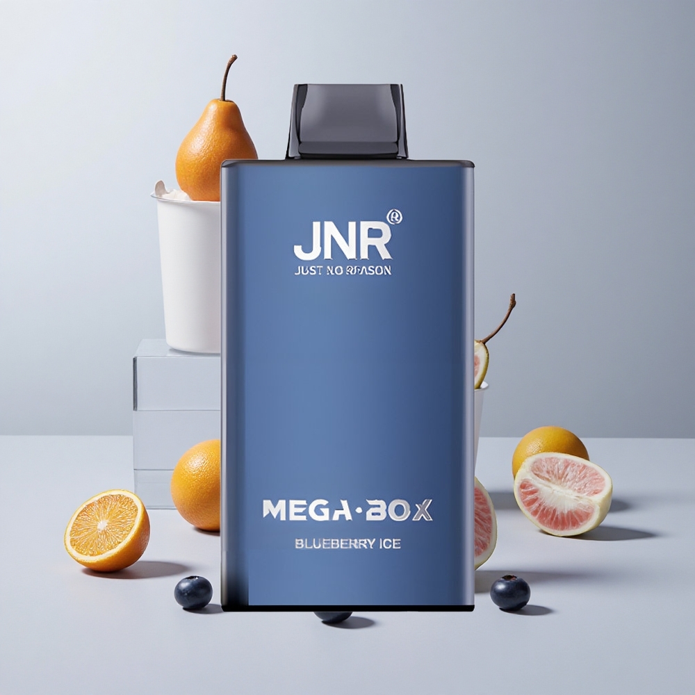 Boruvkový ľad JNR Mega Box 25000 fajkov Jednorazové Vape Typ-C Rýchle nabíjanie veľkoobchod Slovensko