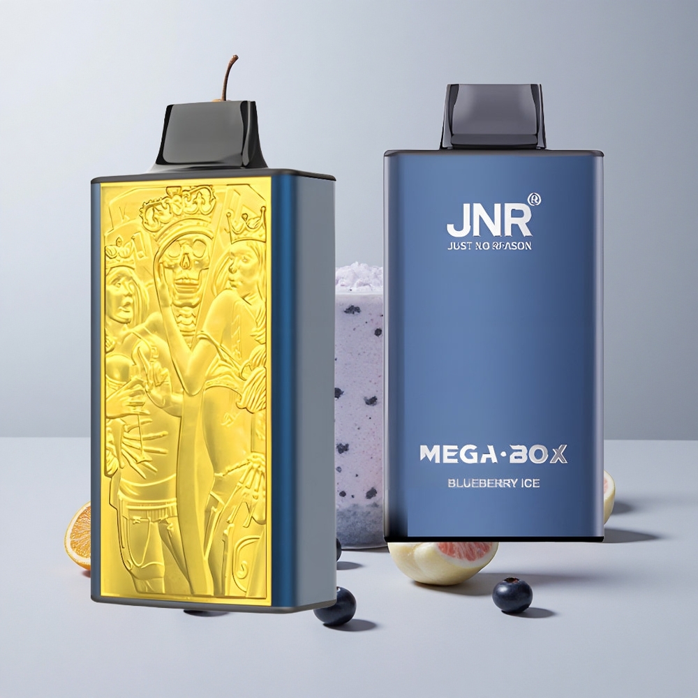 Boruvkový ľad JNR Mega Box 25000 fajkov Jednorazové Vape Typ-C Rýchle nabíjanie veľkoobchod Slovensko