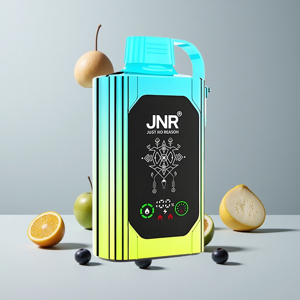 Boruvka-Mäta JNR Shisha Hookah Box 20500 Puffs 25ml Objem Dual Mesh Coil veľkoobchod Slovensko