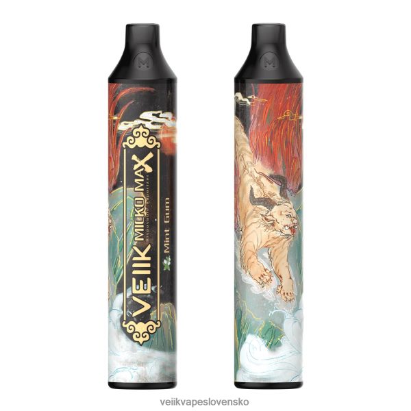 VEIIK Vape Review - VEIIK Micko MAX jednorazová vapka 1500 vdychov HF684650 mätová guma